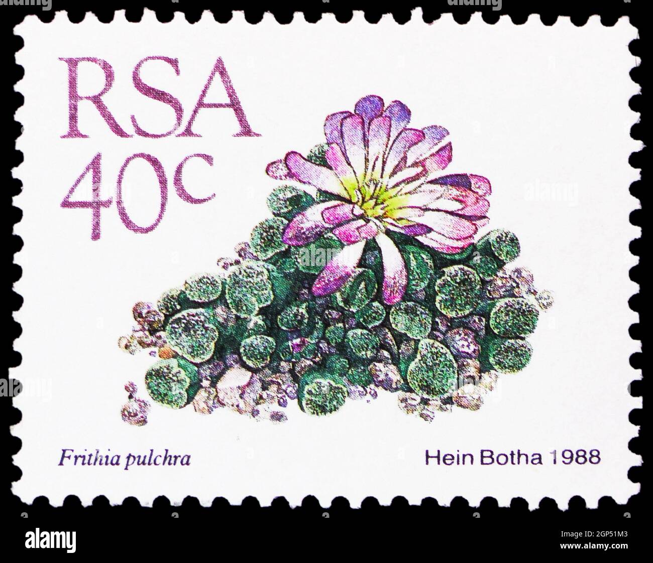 MOSCOW, RUSSIA - AUGUST 5, 2021: Postage stamp printed in South Africa shows Frithia Pulchra, Definitive Issue - Succulents serie, circa 1988 Stock Photo