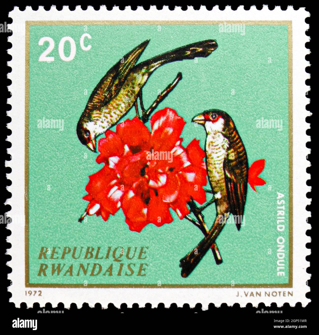 MOSCOW, RUSSIA - AUGUST 5, 2021: Postage stamp printed in Rwanda shows Common Waxbill (Estrilda astrild), Hibiscus, Native Birds serie, circa 1972 Stock Photo