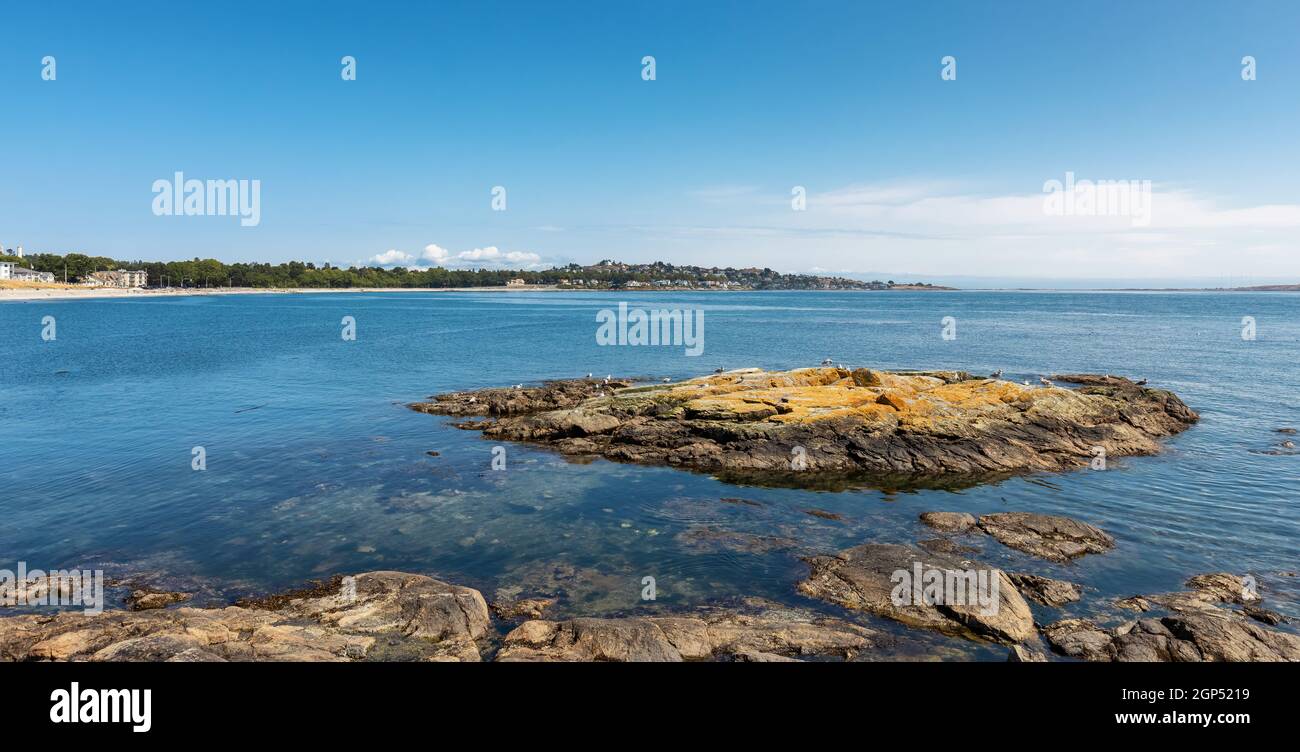 View of Rocky shore with birds at a modern city park, Clover Point ...