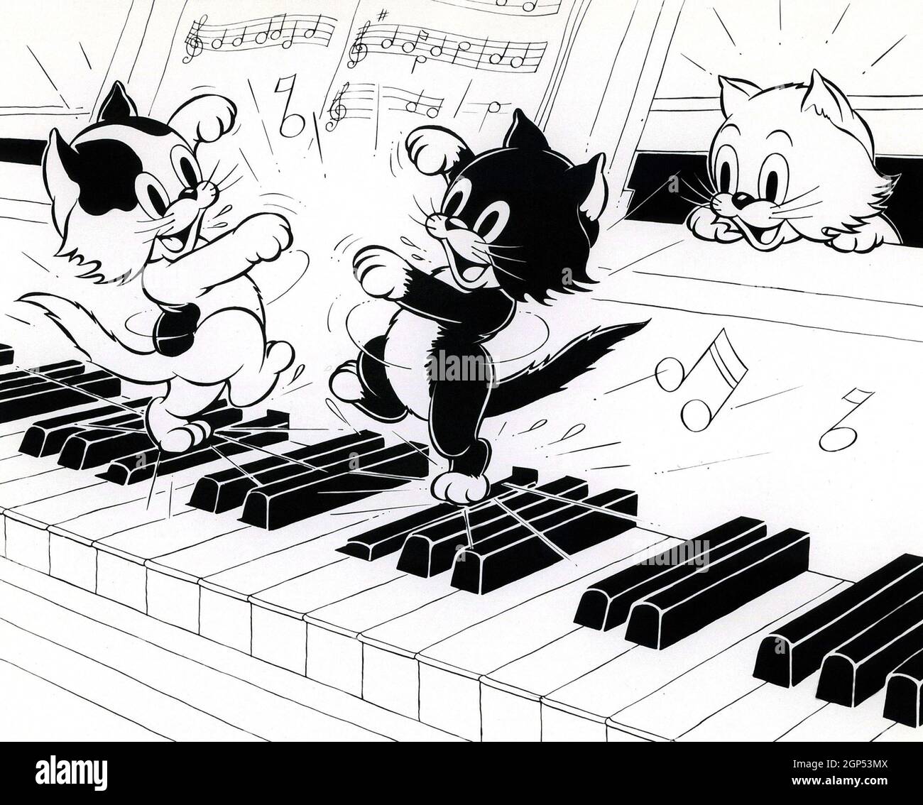 THREE ORPHAN KITTENS, 1935 Stock Photo Alamy