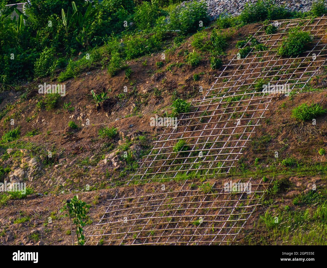 Shallow cellular confinement system to prevent soil erosion on slope ...