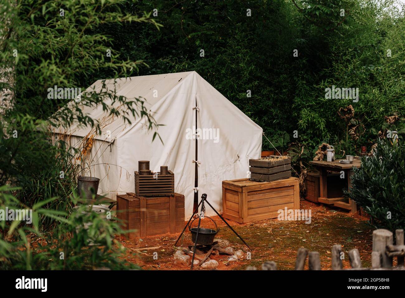 Tent of an explorer or an archeologist on a jungle Stock Photo