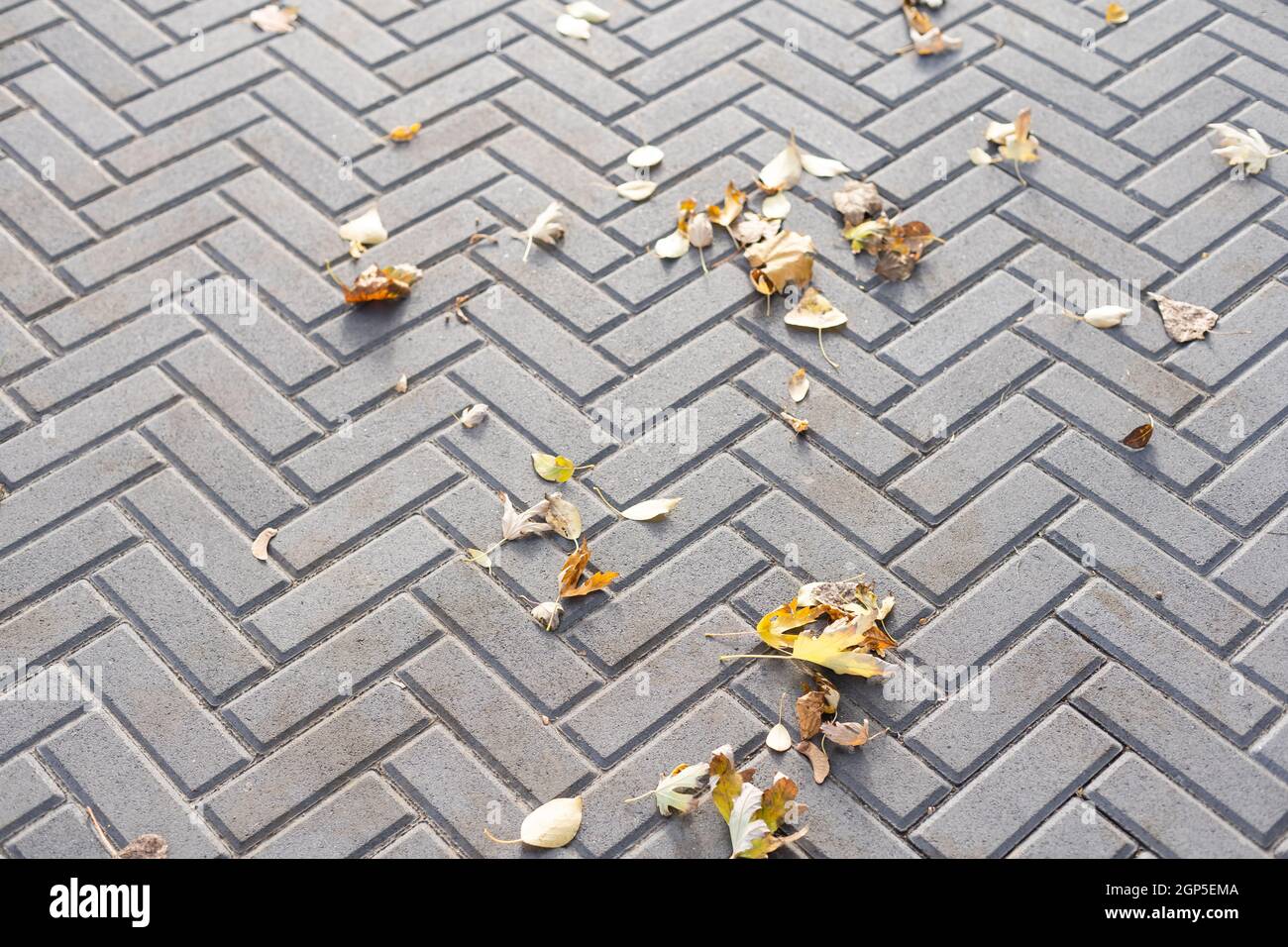 Autumn leaves on a cobblestone street. Background Stock Photo - Alamy
