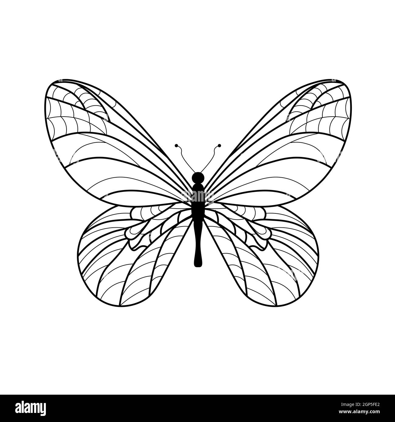 Butterfly coloring book. Linear drawing of a butterfly. Stock Photo