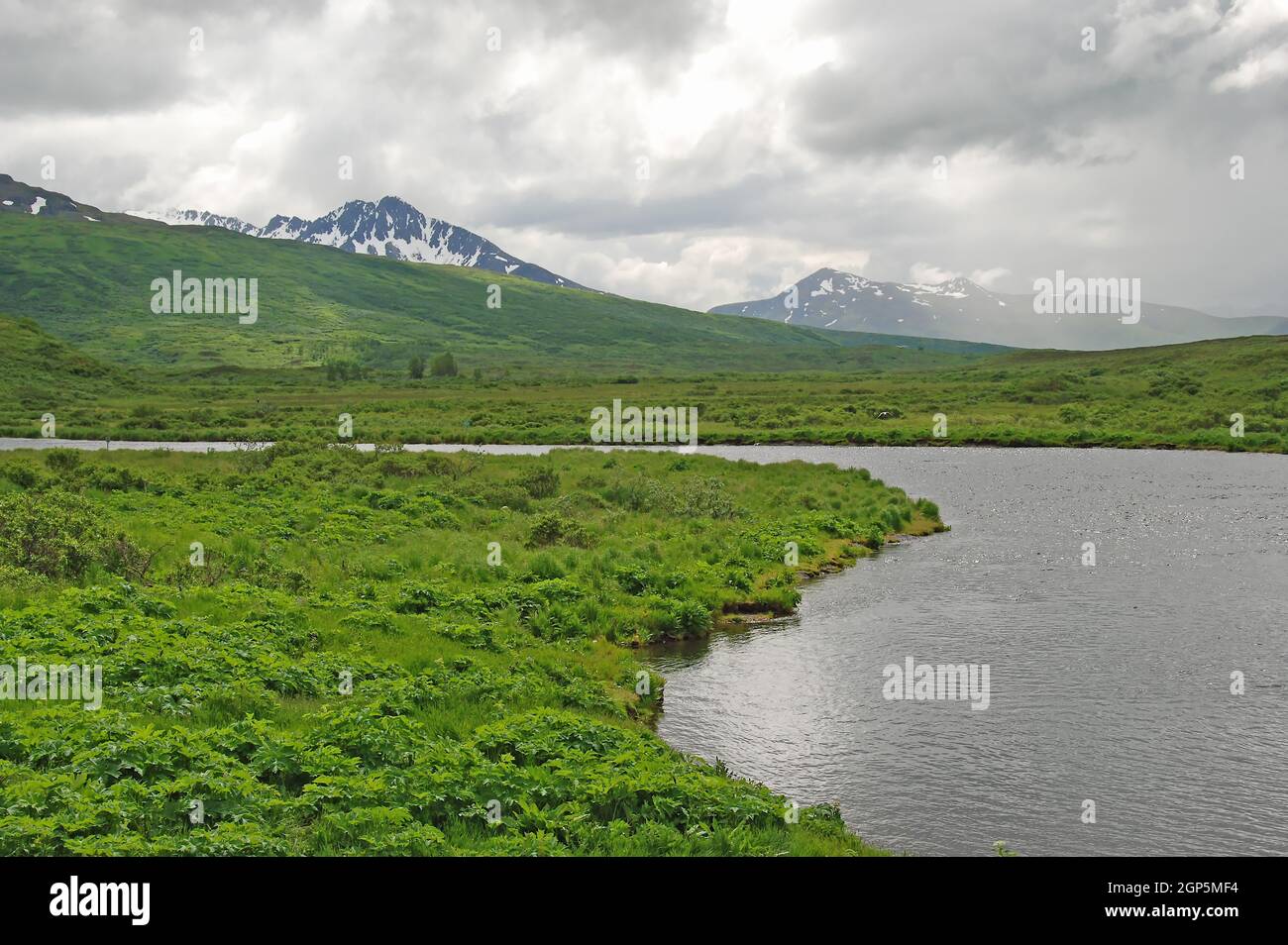 Foggy Day in the Home of the Kodiak Grizzly on the Fraser River on Kodiak Island in Alaska Stock Photo