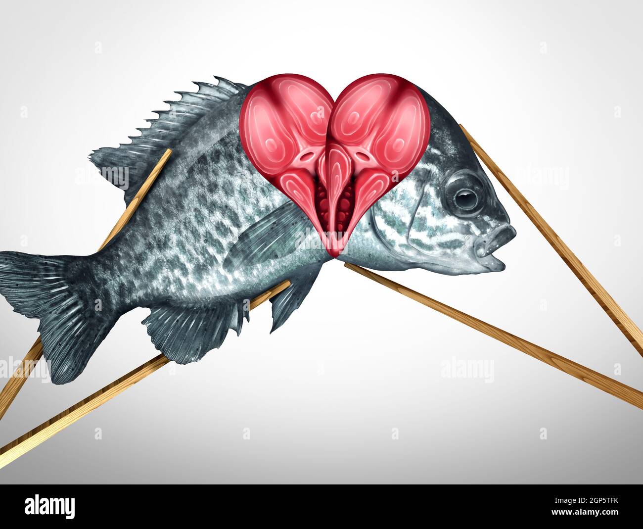 Sushi love concept and fresh fish Dinner for two dining and romantic date symbol as a couple of chopsticks holding seafood with a heart shape. Stock Photo