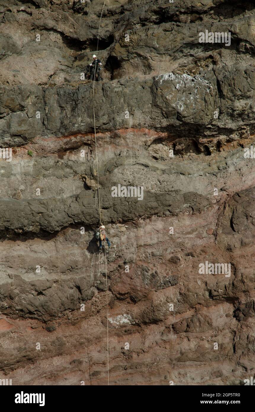 Two men climbing on artificial hi-res stock photography and images - Alamy