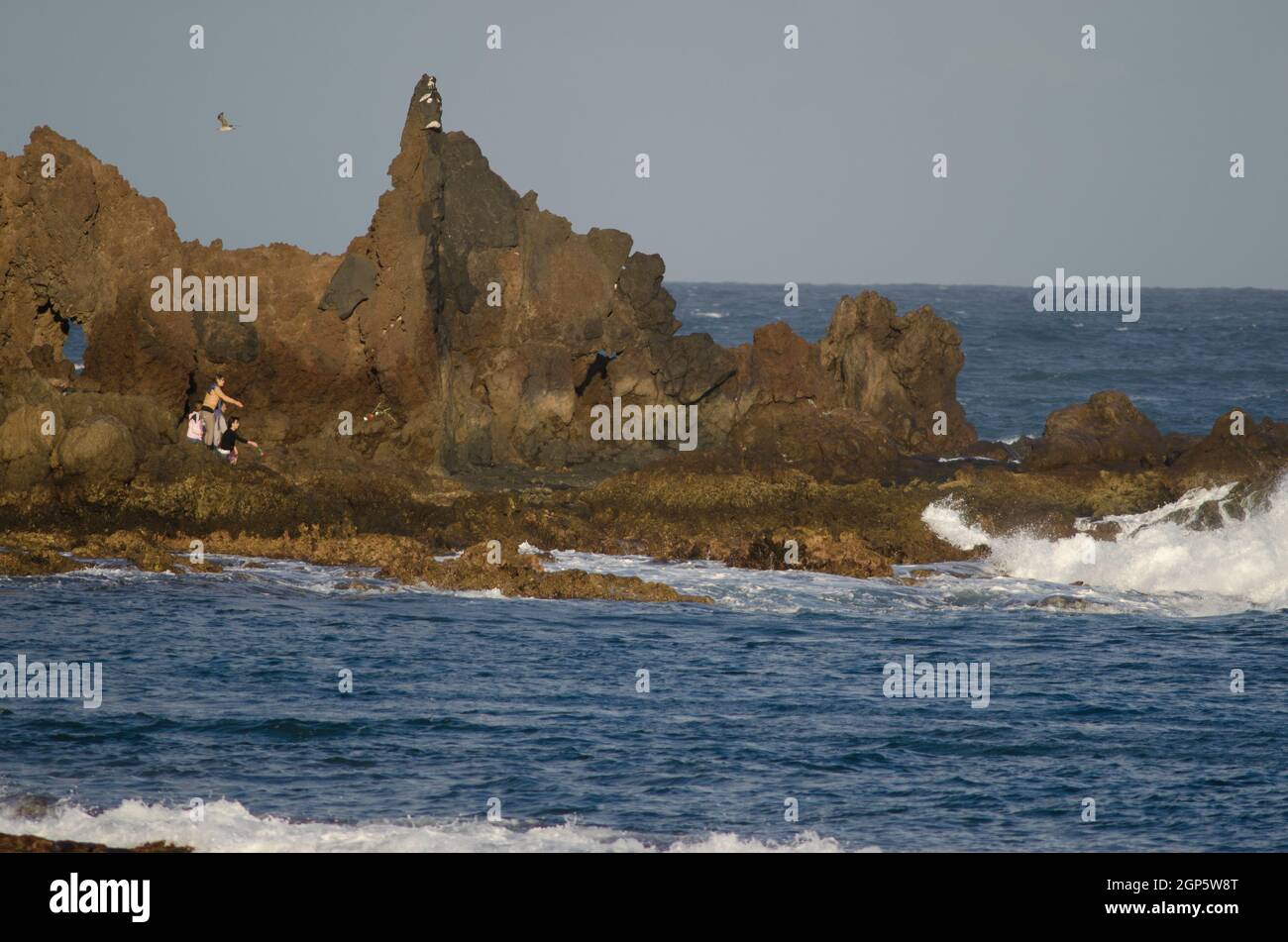 People throwing flowers hires stock photography and images Alamy