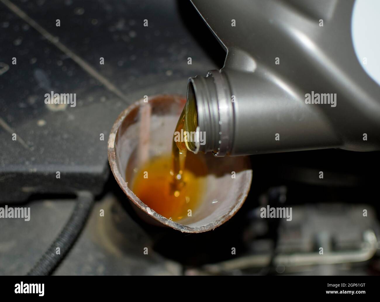 Oil change in the engine of the car. Filling the oil through the funnel ...
