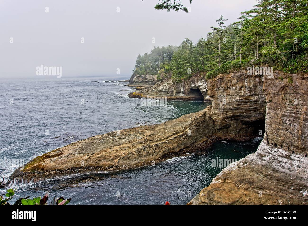 Cape Flattery Promontory - A rock promontory jutting into the Pacific at Cape Flattery. Stock Photo