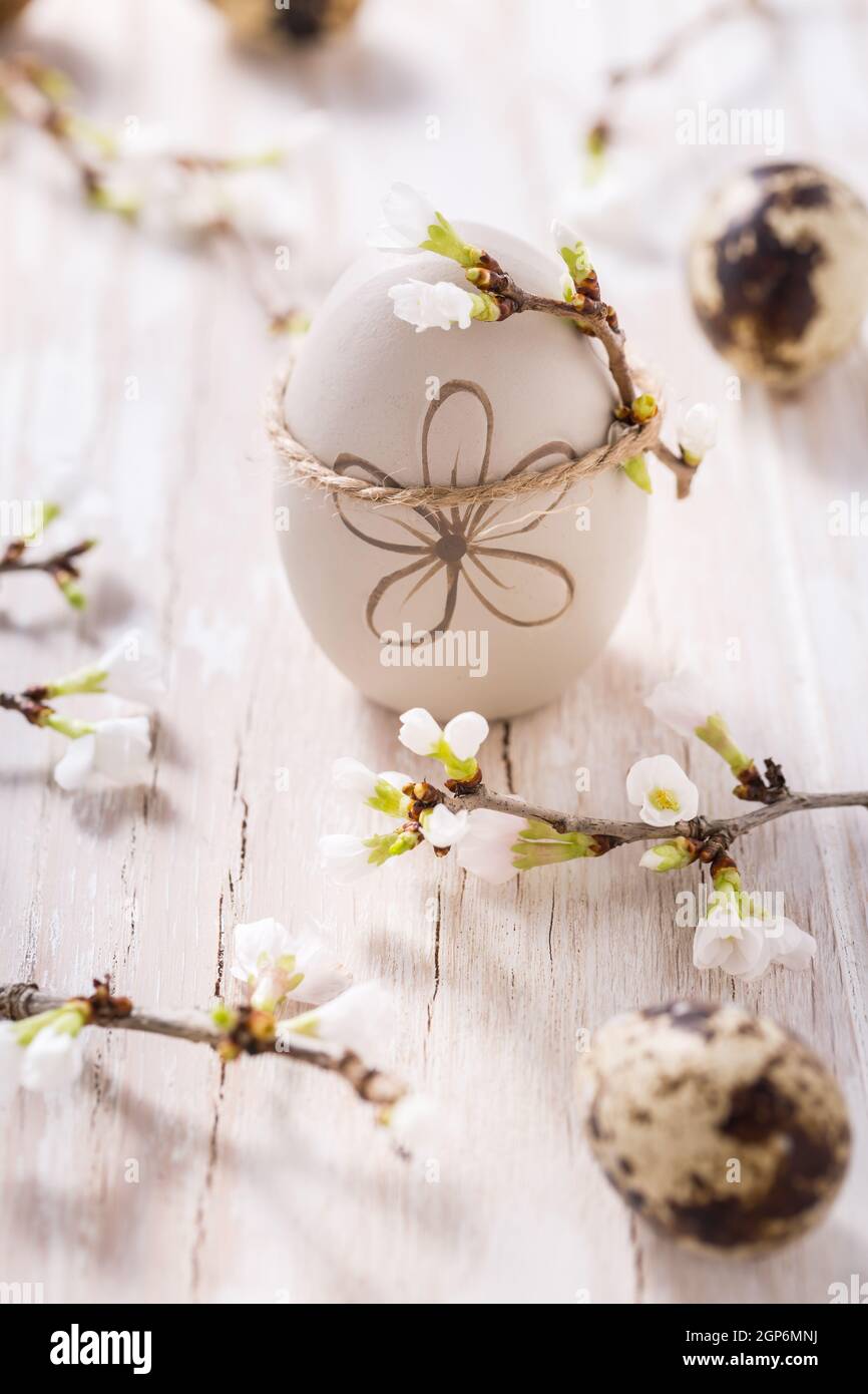 Easter eggs on with cherry branch. Easter decoration with quails eggs Stock Photo