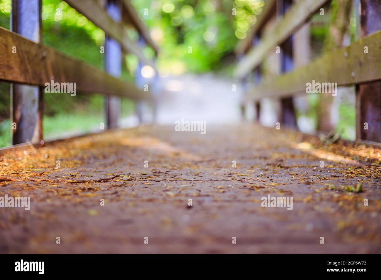 Wooden bridge in the forest, blurry background Stock Photo - Alamy