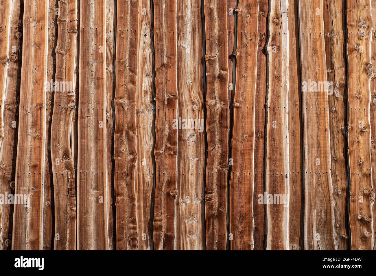 Image showcasing Wooden plank texture in brown pine Stock Photo - Alamy