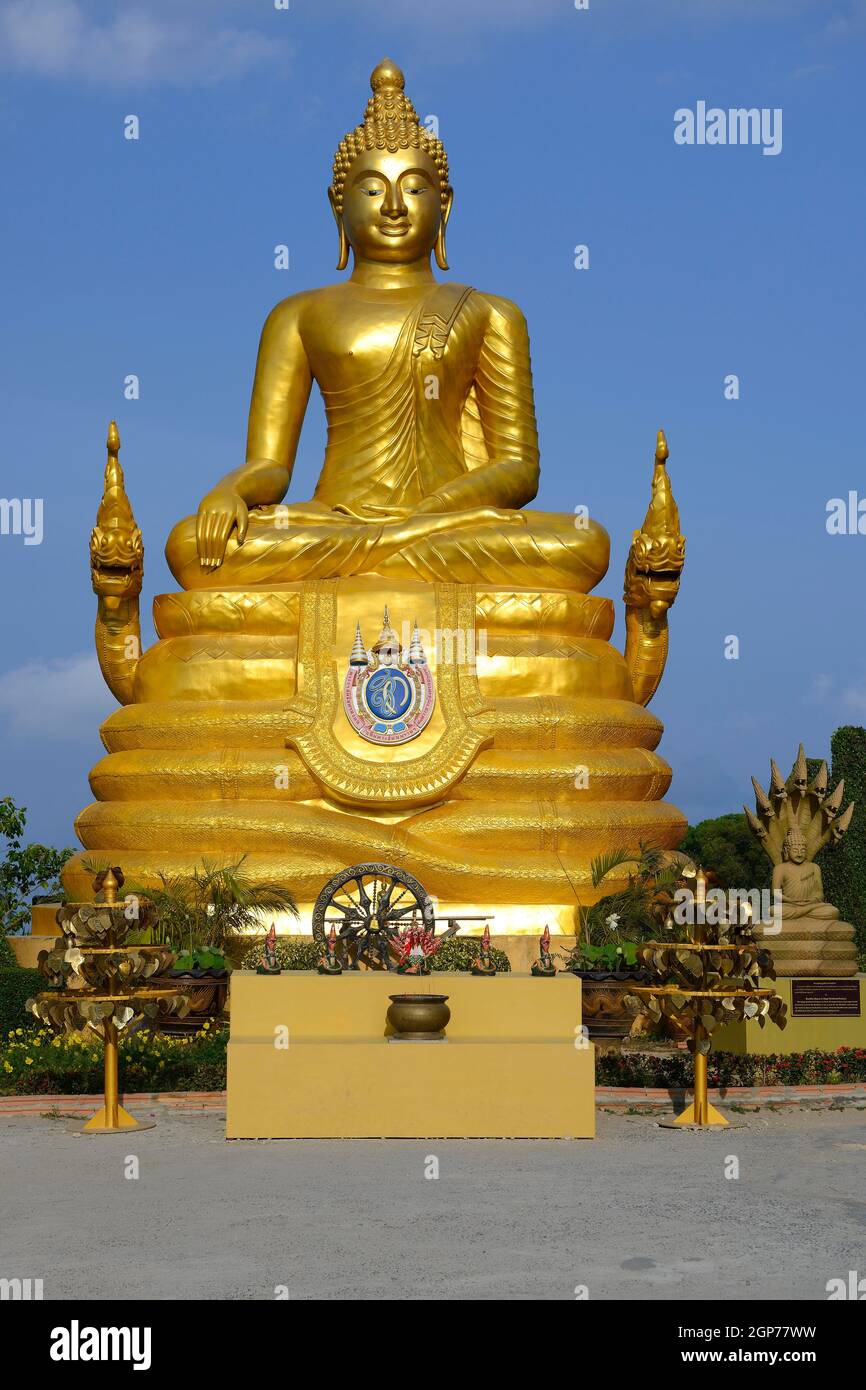 Large carrion beetle hires stock photography and images Alamy