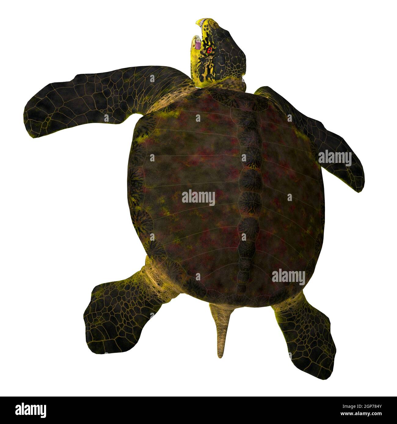 Wgbej2eyvokqsm Wgbej2eyvokqsm