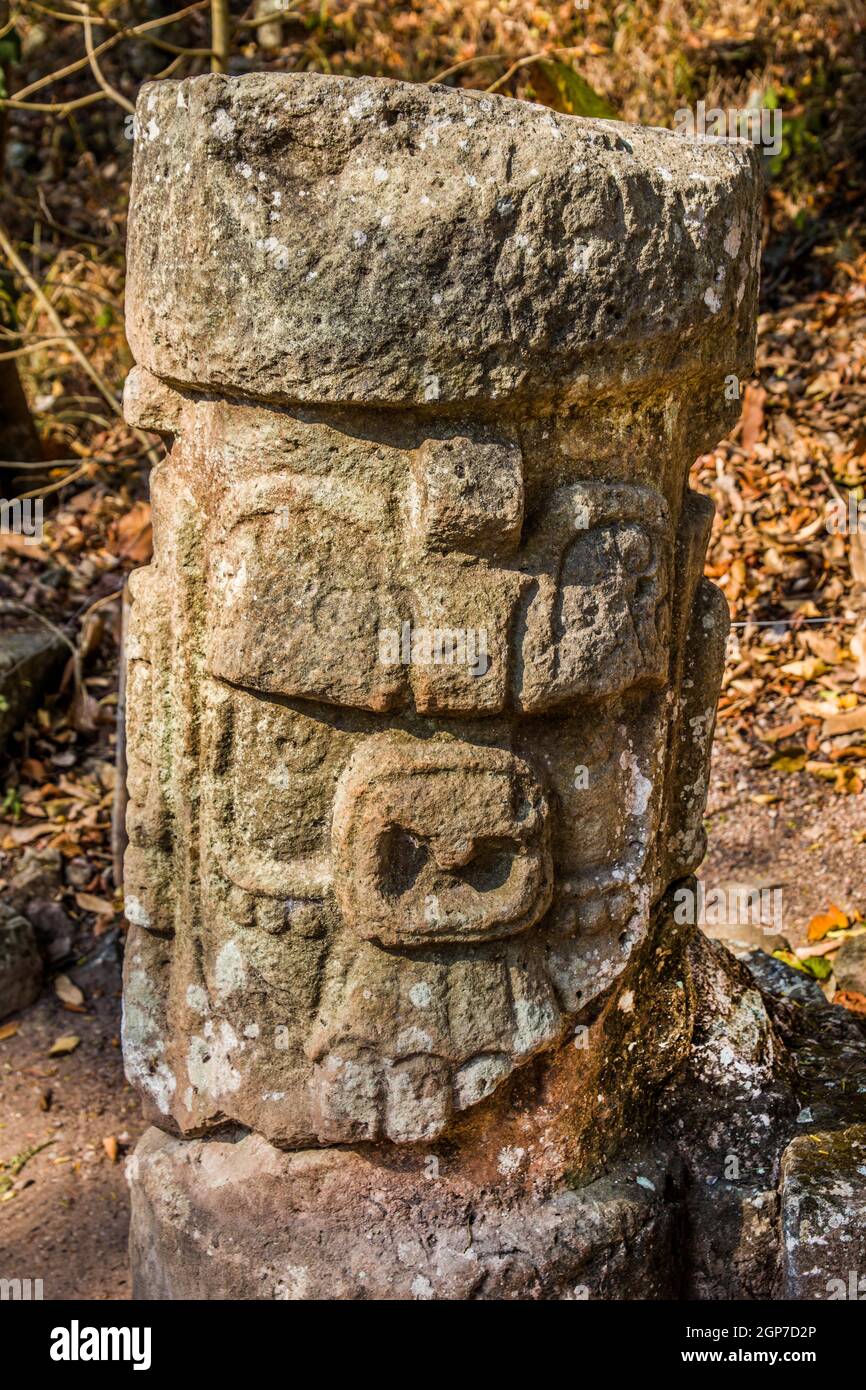 Ajaw Head, Acropolis, West Plaza, Copan Ruins, Honduras Stock Photo