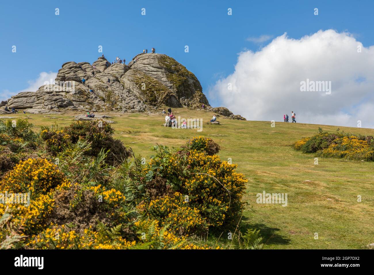 Haytor Rock, Dartmoor NP, Devon, United Kingdom Stock Photo