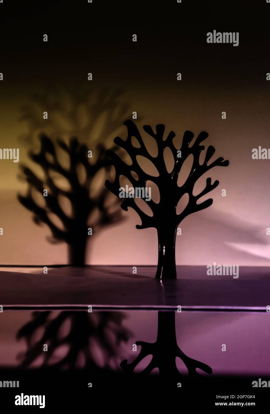 Black tree with reflection in water and shadow on the background