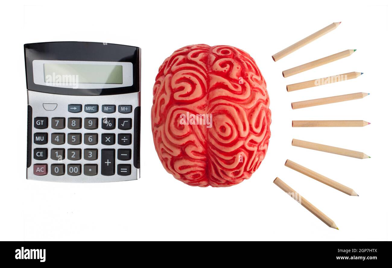Concept of brain hemispheres between logic and creativity on white background. Stock Photo