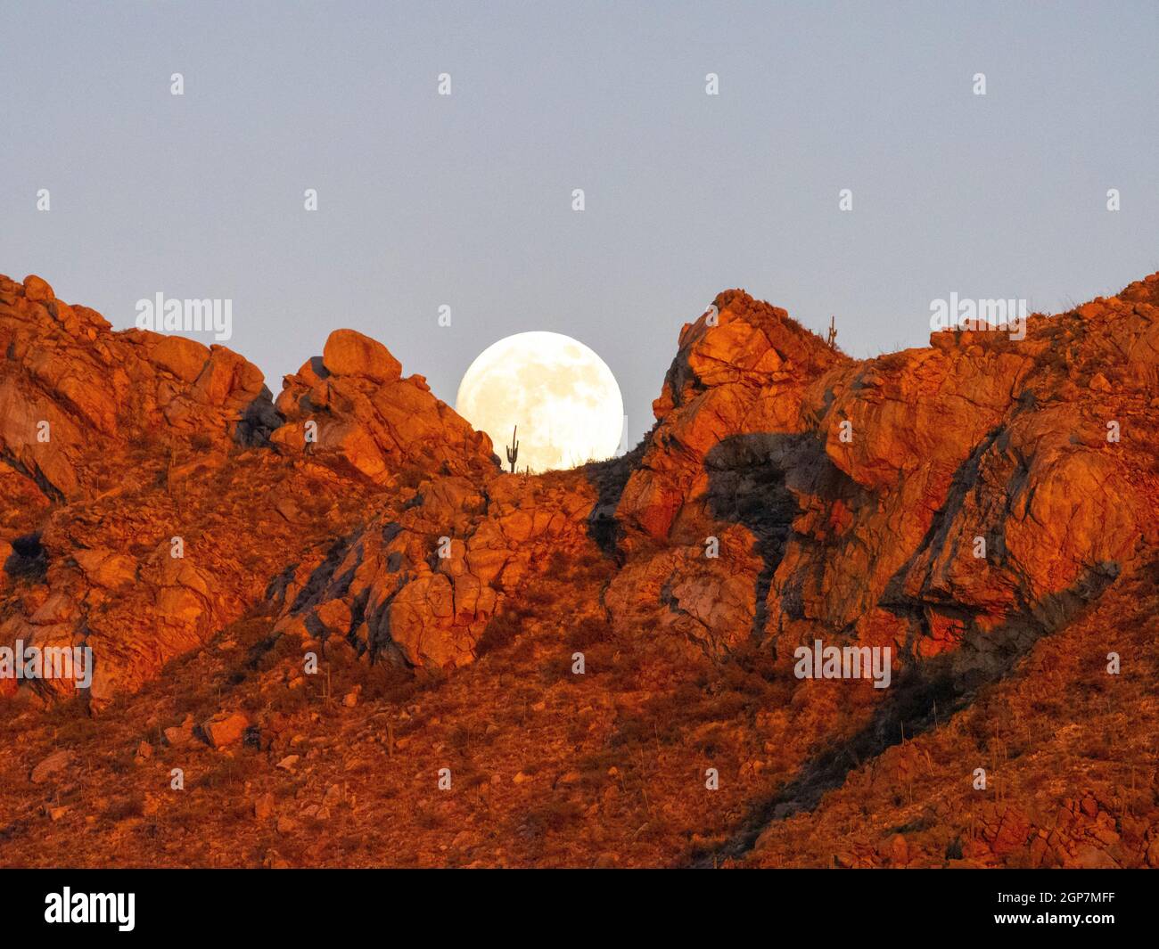 Full Moon, Tortolita Mountains, Marana, near Tucson, Arizona. Stock Photo