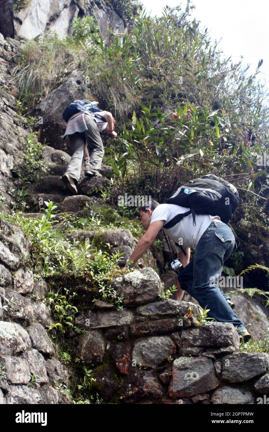 Tourists climbing Wayna Picchu, Machu Picchu, Peru Stock Photo