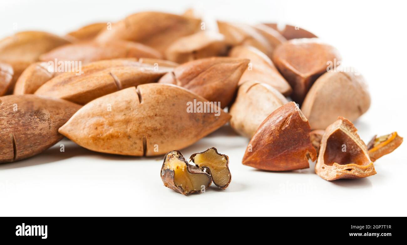 Canarium ovatum known as pili nuts from the Philippines Stock Photo Alamy