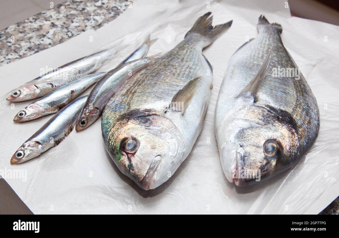 Anchovies and sea bream for sale Stock Photo Alamy