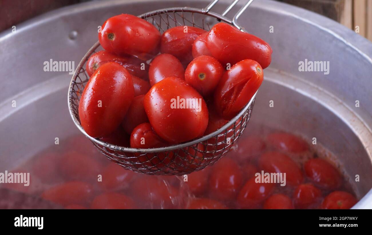 Italian tradition, homemade tomato puree production. Each year families