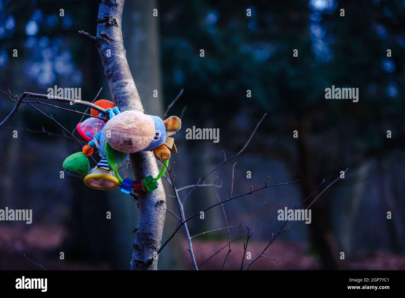 Lost toy left in a tree Stock Photo