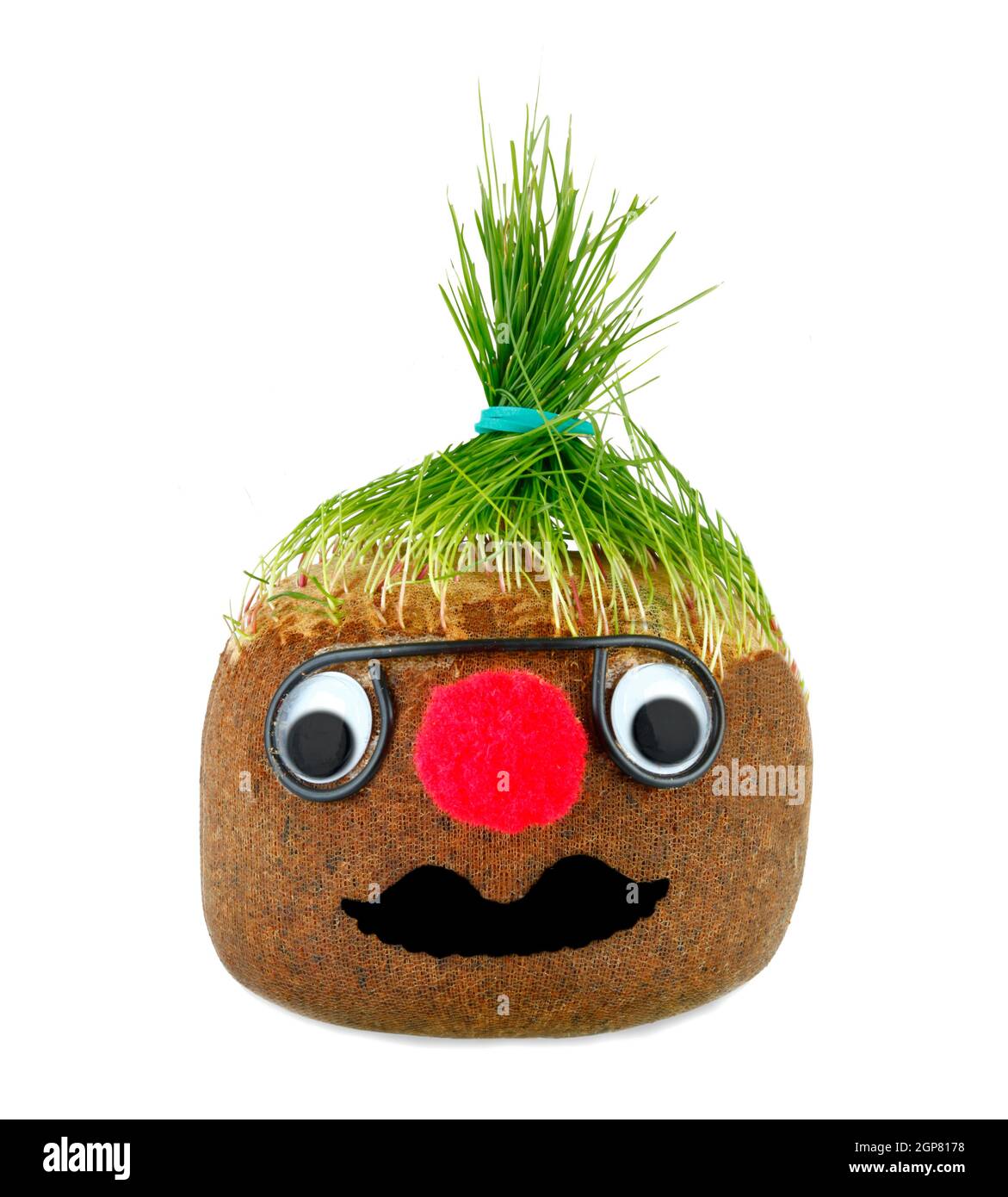 Puppet with ground wheat sprouts for hair on white Stock Photo - Alamy
