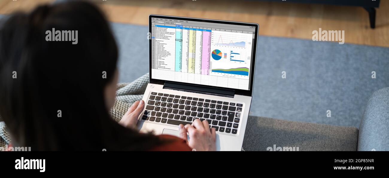 Woman Using Spreadsheet Reports On Laptop Computer Stock Photo