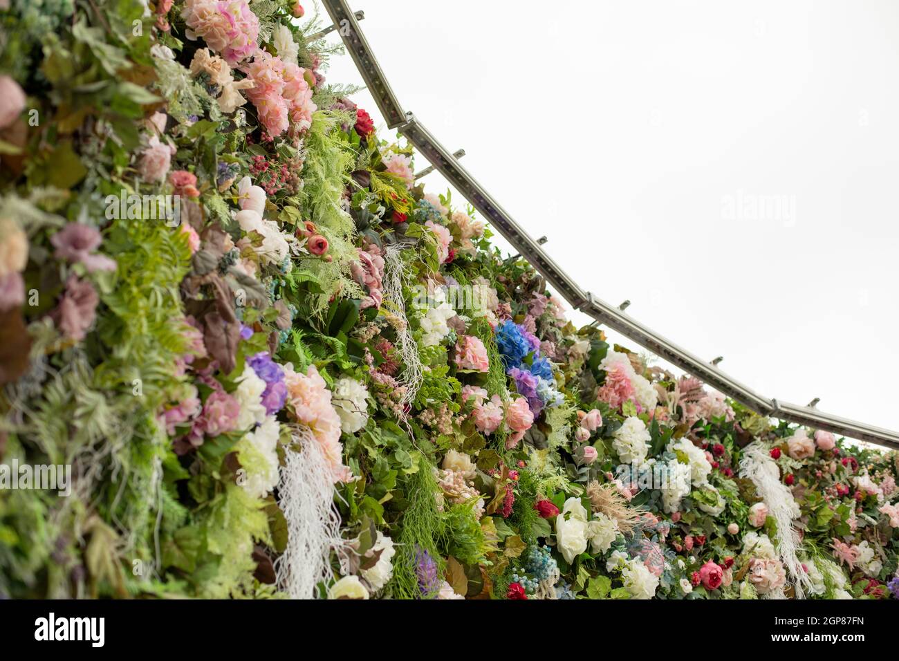 A wall of flowers. Decoration of flowers in the park. Rose buds are put