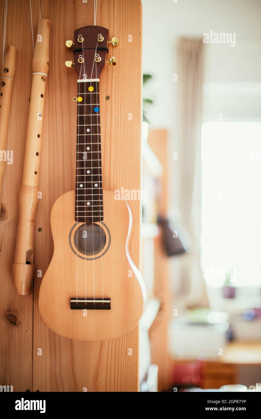 Ukulele and flutes hanging on a wooden bookshelf, close up picture