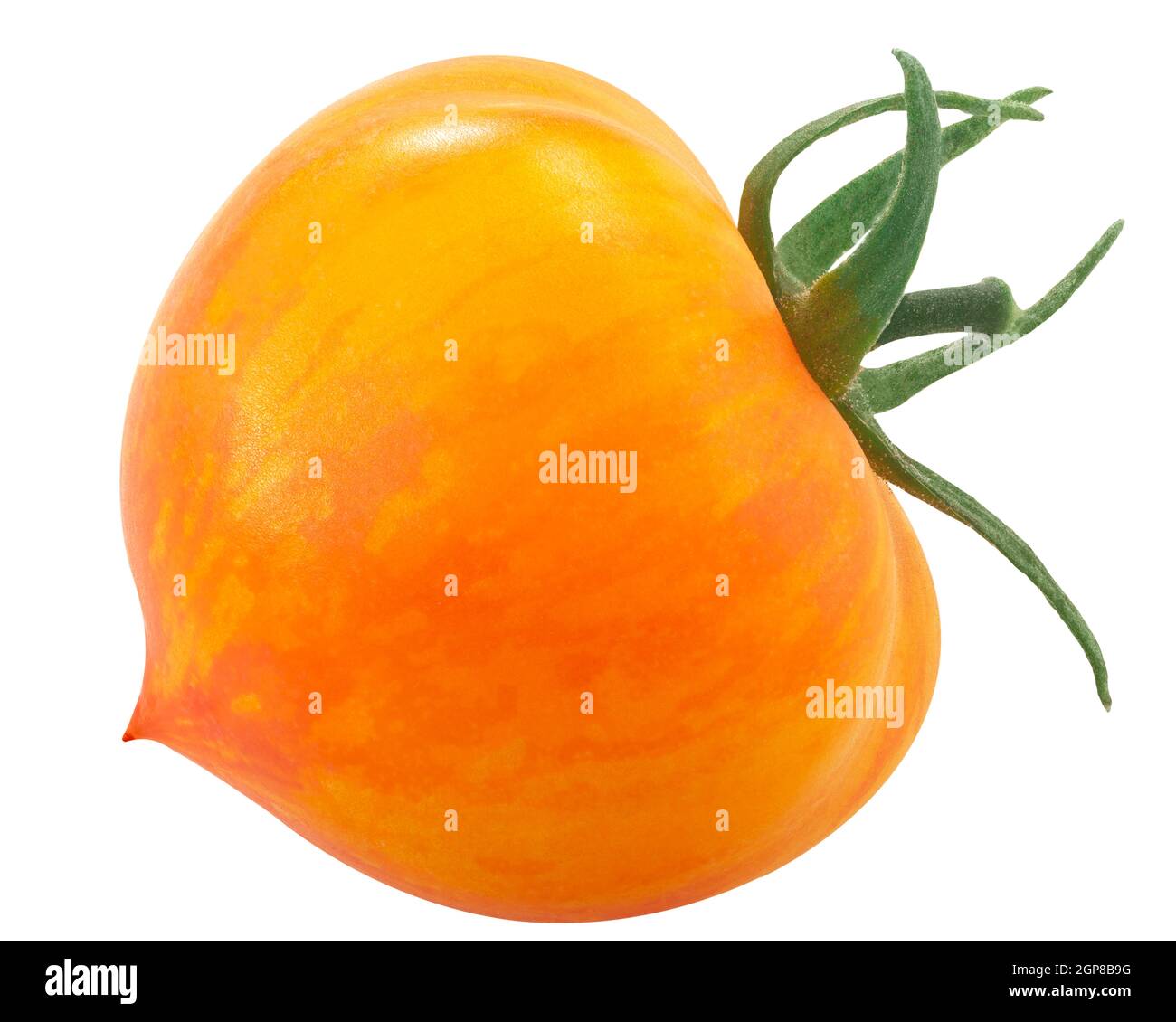 Kozula137 bicolor heirloom tomato, isolated on white Stock Photo