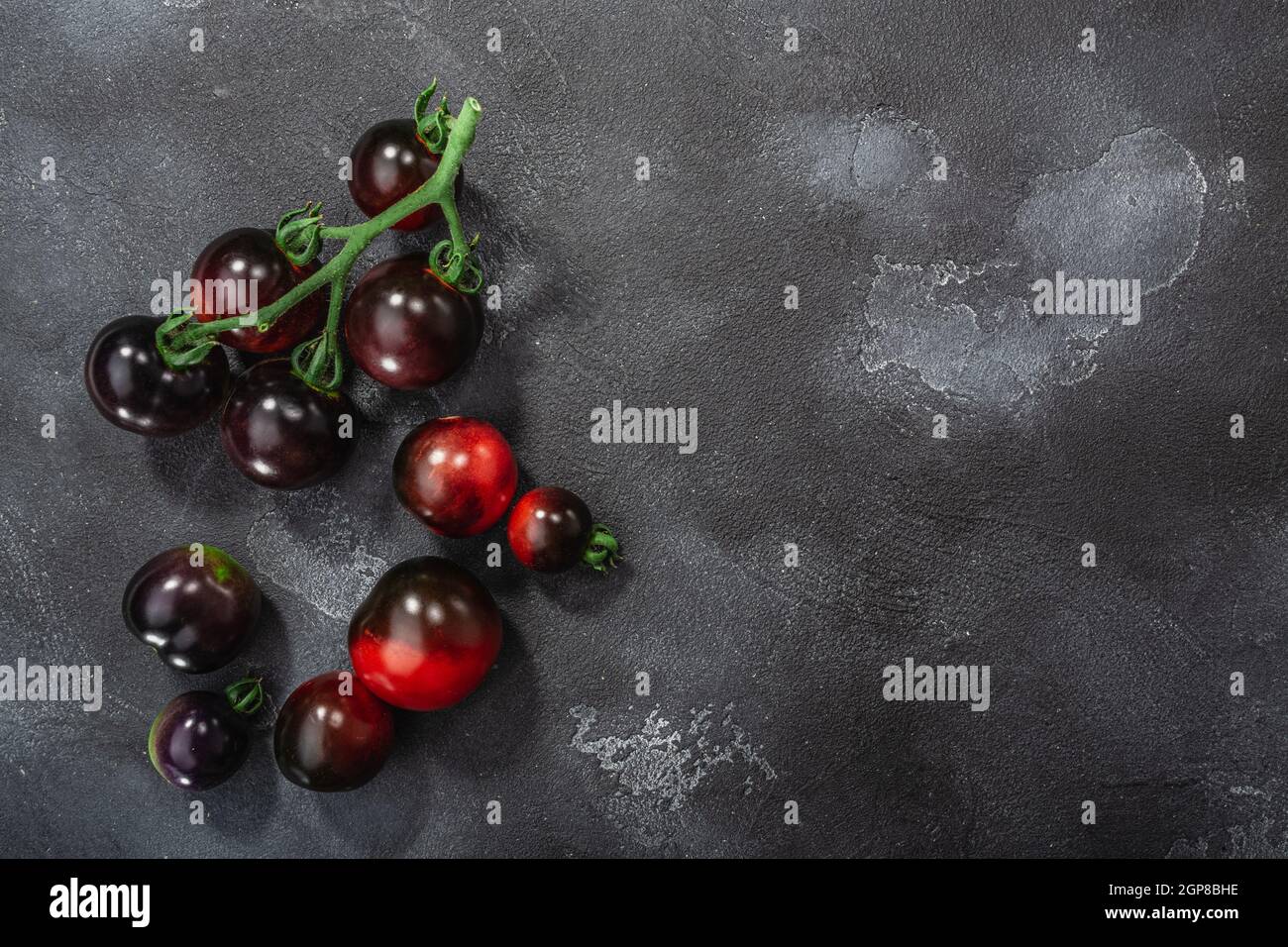Indigo Rose heirloom cherry tomatoes on the vine atop washed dark ...