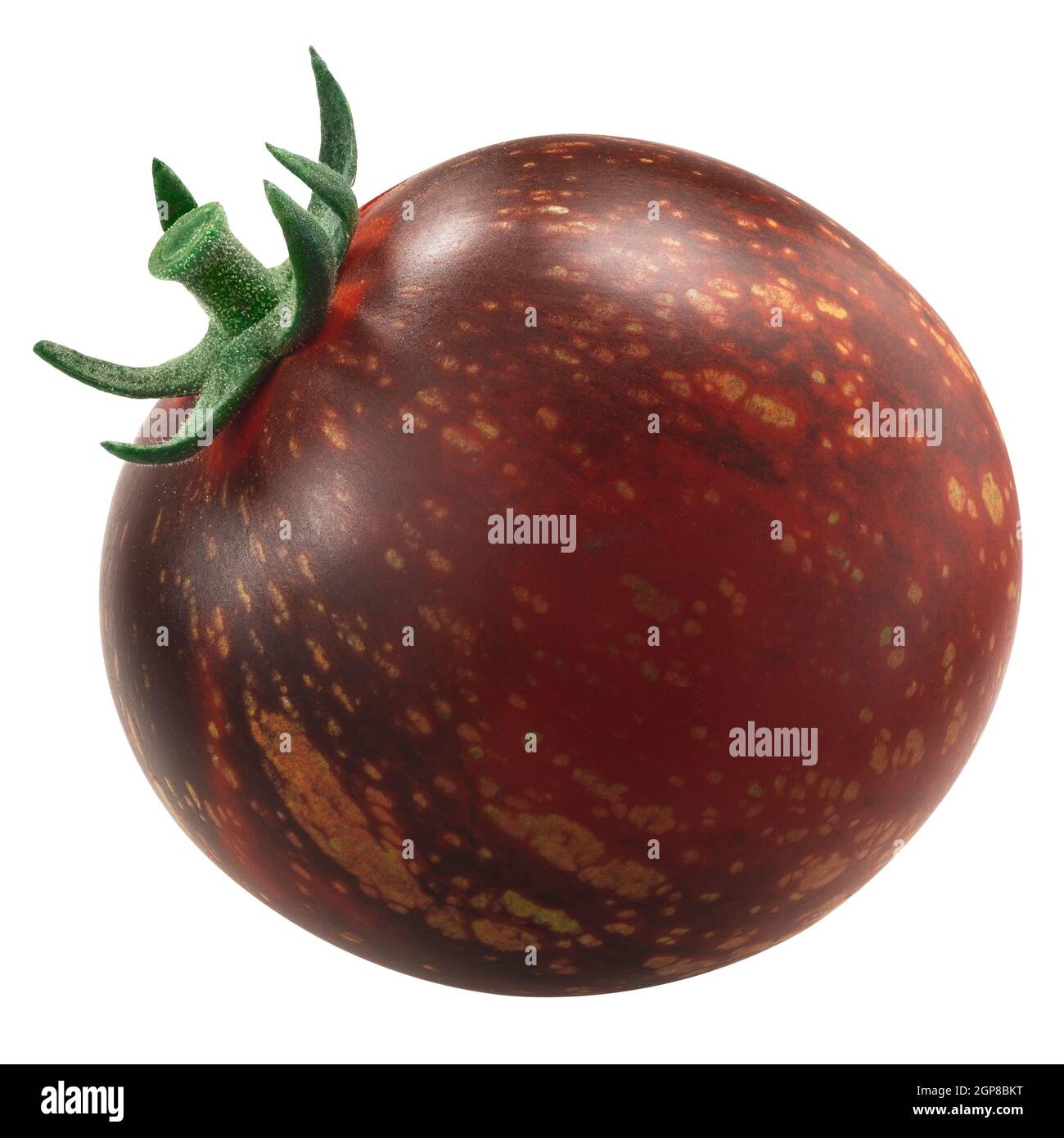 Dark Galaxy heirloom tomato, anthocyan-rich bicolor, isolated Stock Photo