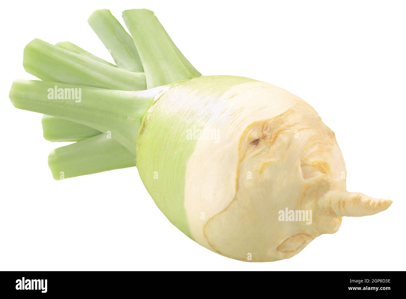 Rutabaga or Swede root vegetable (Brassica napus), isolated Stock Photo