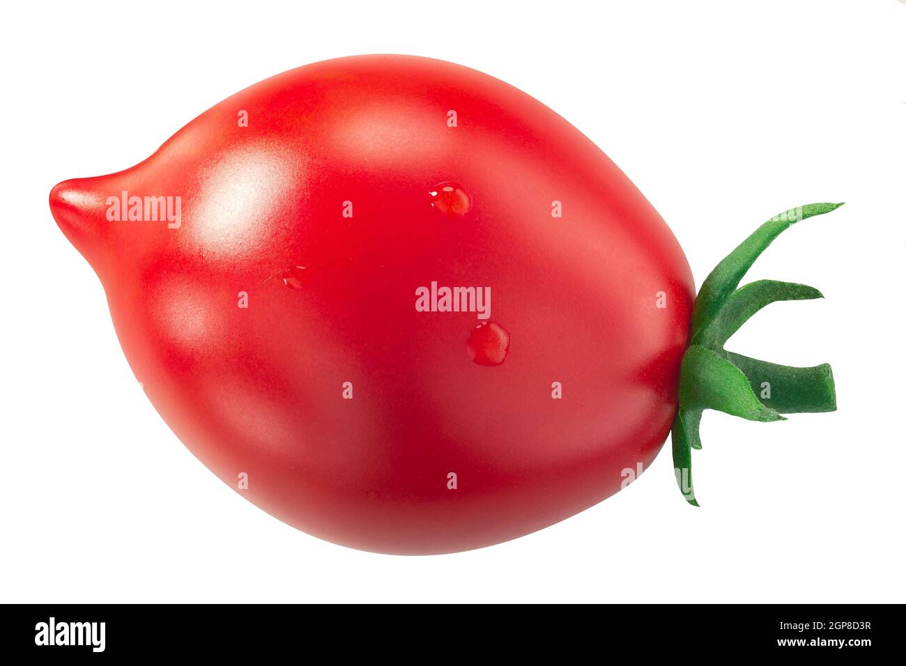 Piennolo del Vesuvio tomato, an Italian heirloom isolated Stock Photo ...