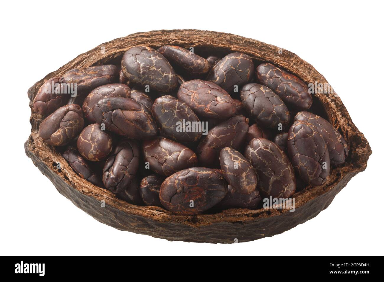 Halved cocoa pod with whole fermented cacao beans (Theobroma cacao fruit w seeds) isolated, top view Stock Photo