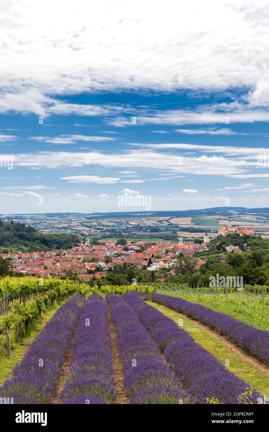 South Moravian town of Mikulov with the lavender field in Czech Republic Stock Photo