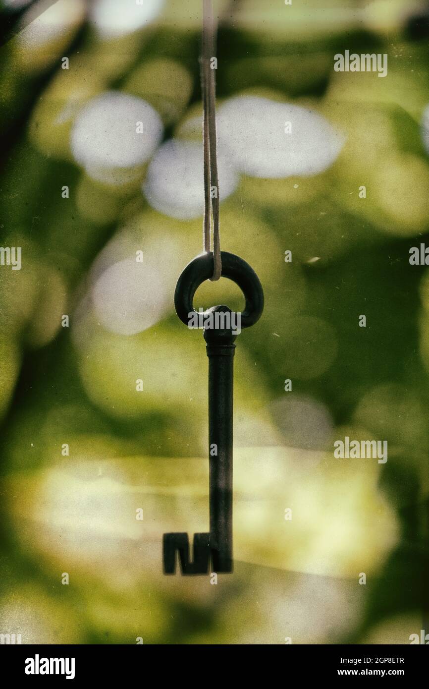 Ancient wrought iron key hanging between branches. Mysterious and