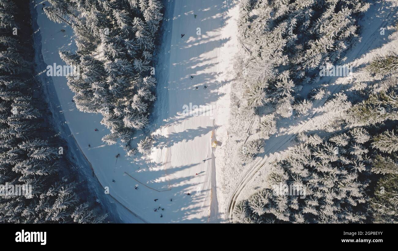 Aerial top down of snow mountain fir forest. Winter nobody nature landscape. Spruce wood at mount. Pine trees at sun light. Snowy Carpathian ridges, Bukovel Resort, Ukraine, Europe. Travel and tourism Stock Photo