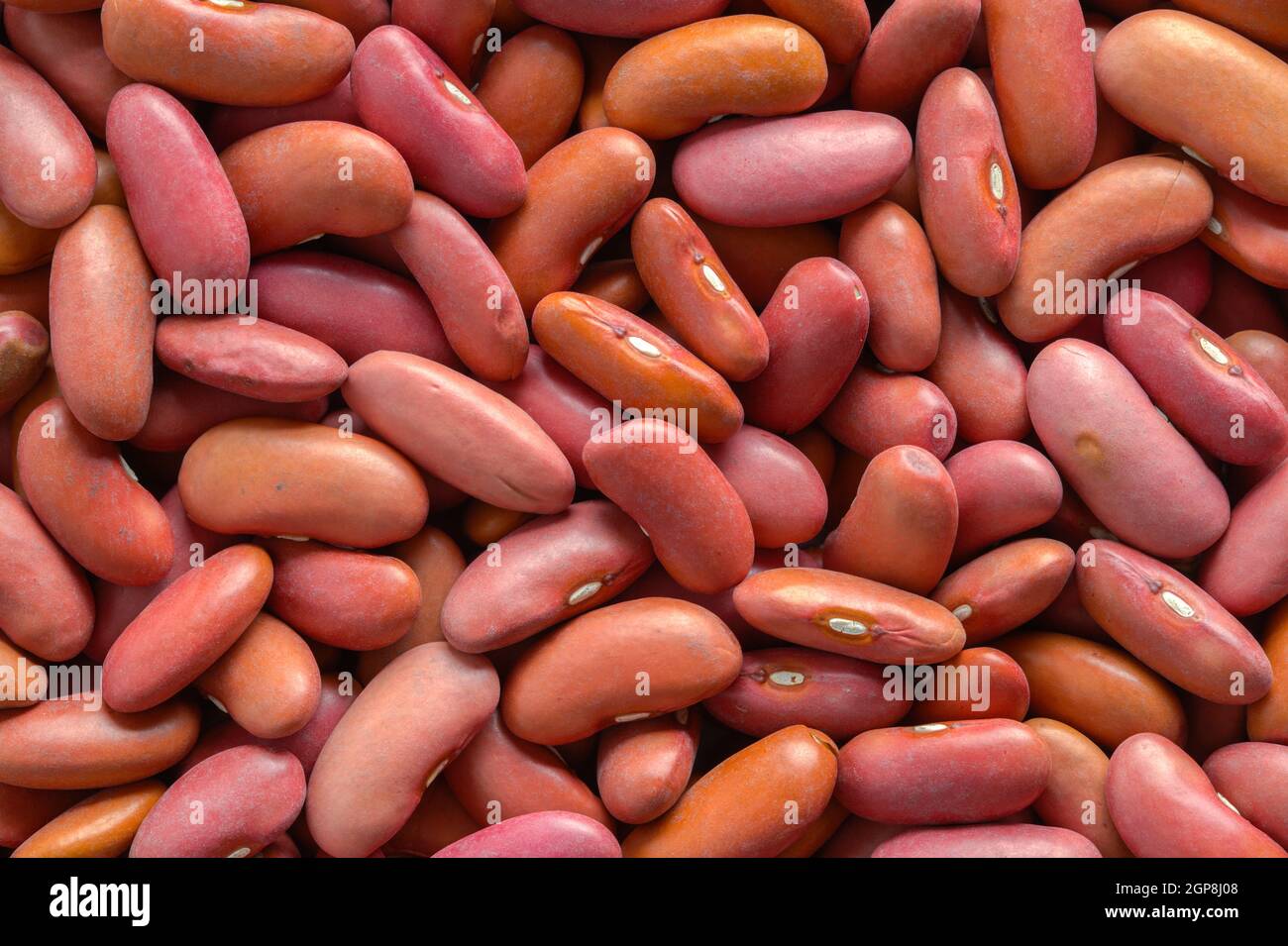 Pile of Red Kidney Beans Background Texture. Stock Photo