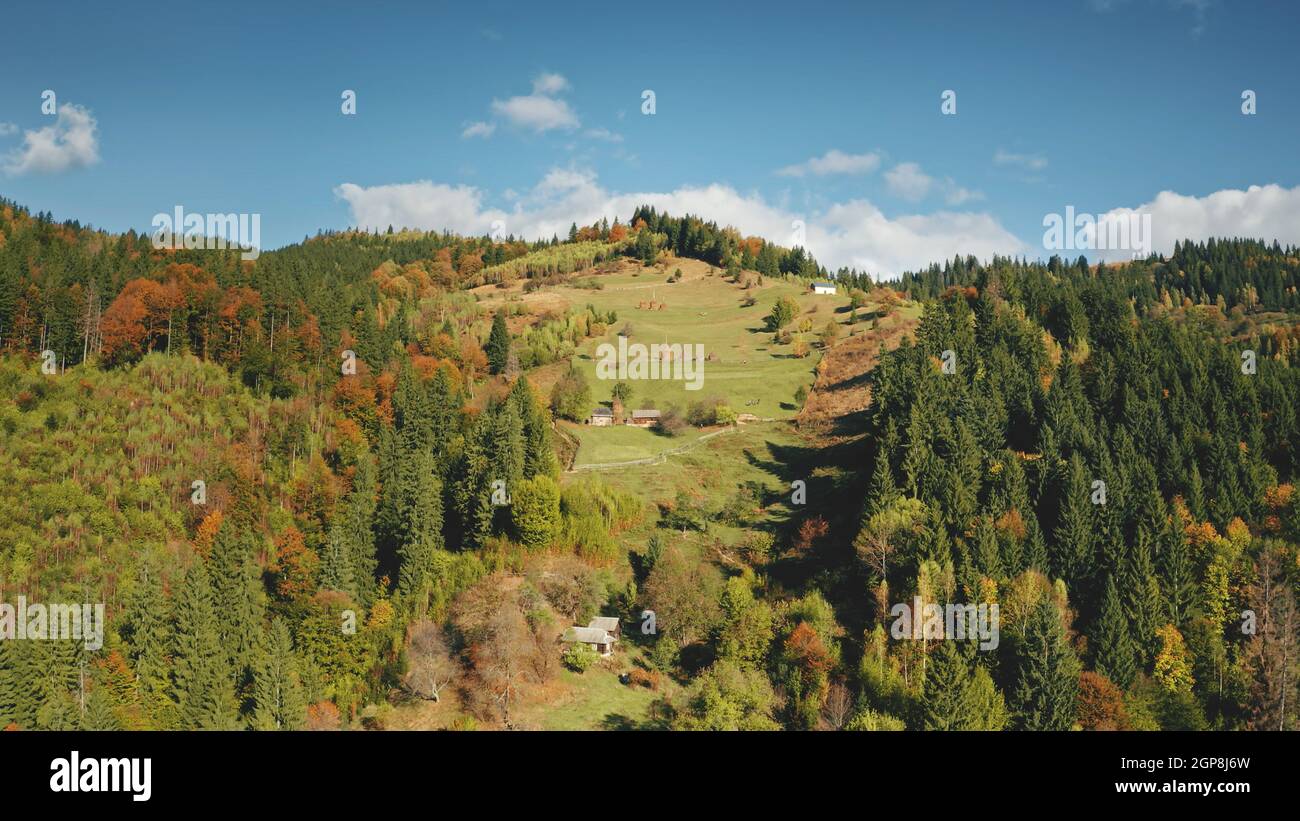 Aerial cottages at mountain forest. Autumn nobody nature landscape. Houses at green grass hill. Leaf, fir trees. Countryside vacation. Unknown village at rural Carpathians mounts, Ukraine, Europe Stock Photo