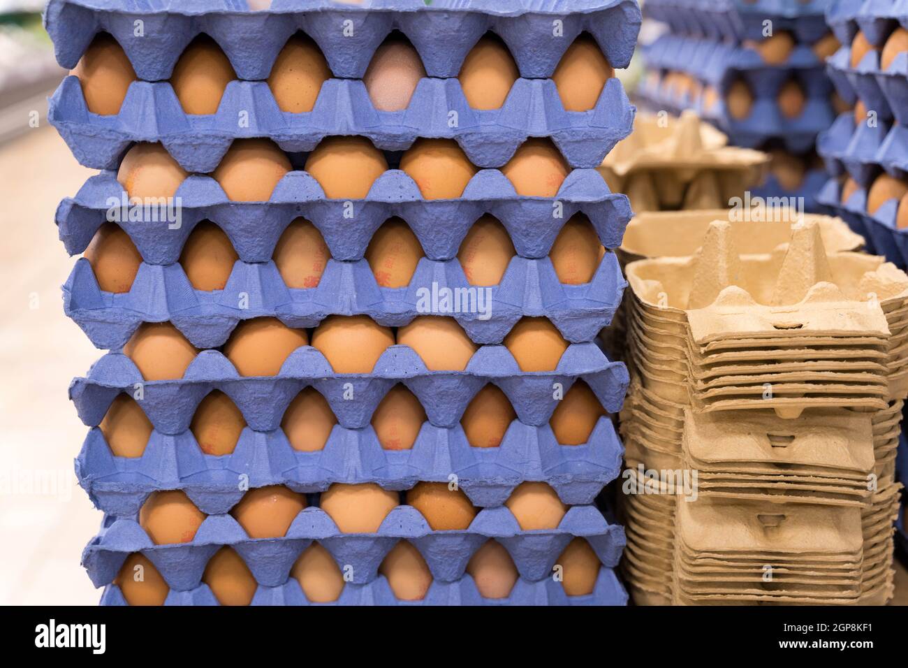 Stack of chicken eggs in blue paper trays on top of each other for sale