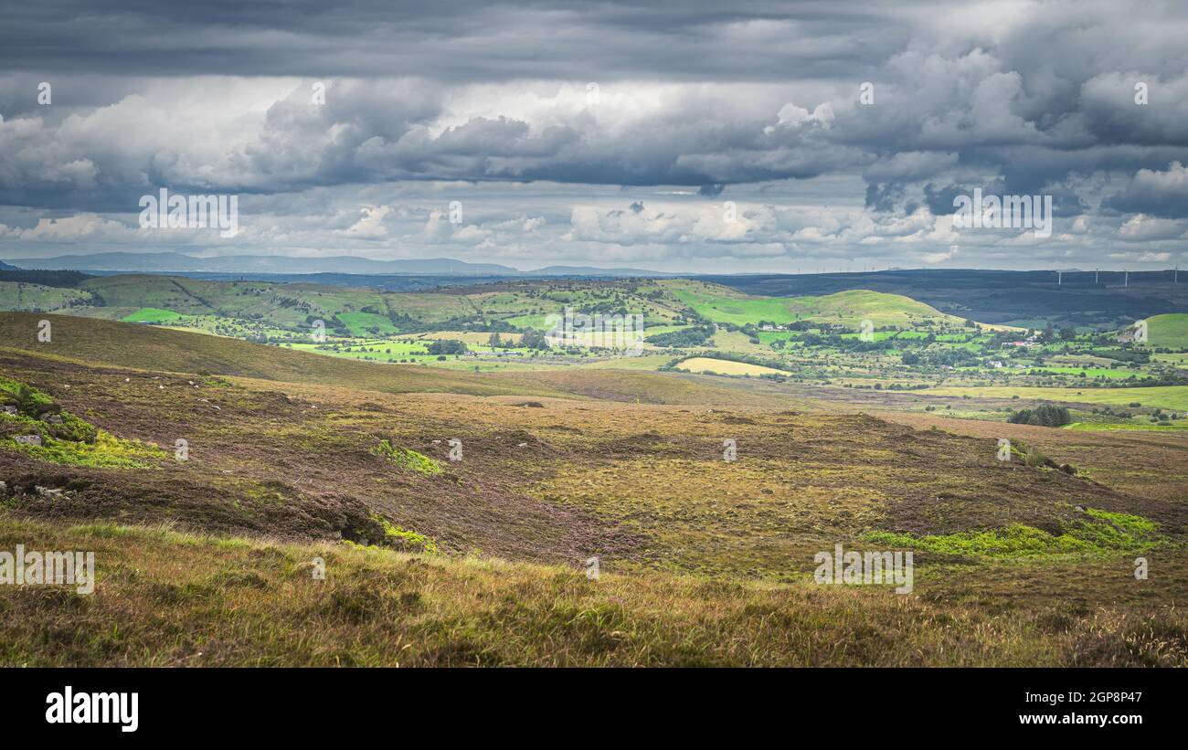 Green meadows and peat bogs with long grass, ferns and heather on hill in Cuilcagh Mountain Park, stormy, dramatic sky in background, Northern Ireland Stock Photo