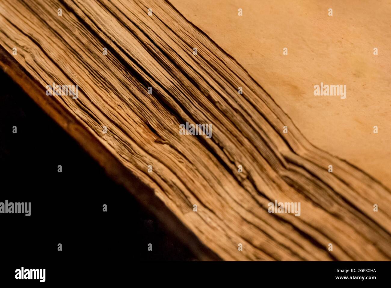 Writing and reading knowledge in historic aged document from literature