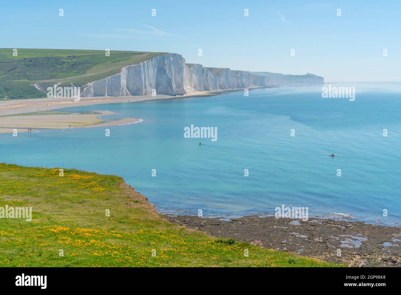 Seven Sisters Chalk Cliffs and summer wild flowers at Cuckmere Haven, South Downs National Park, East Sussex, England, United Kingdom, Europe Stock Photo