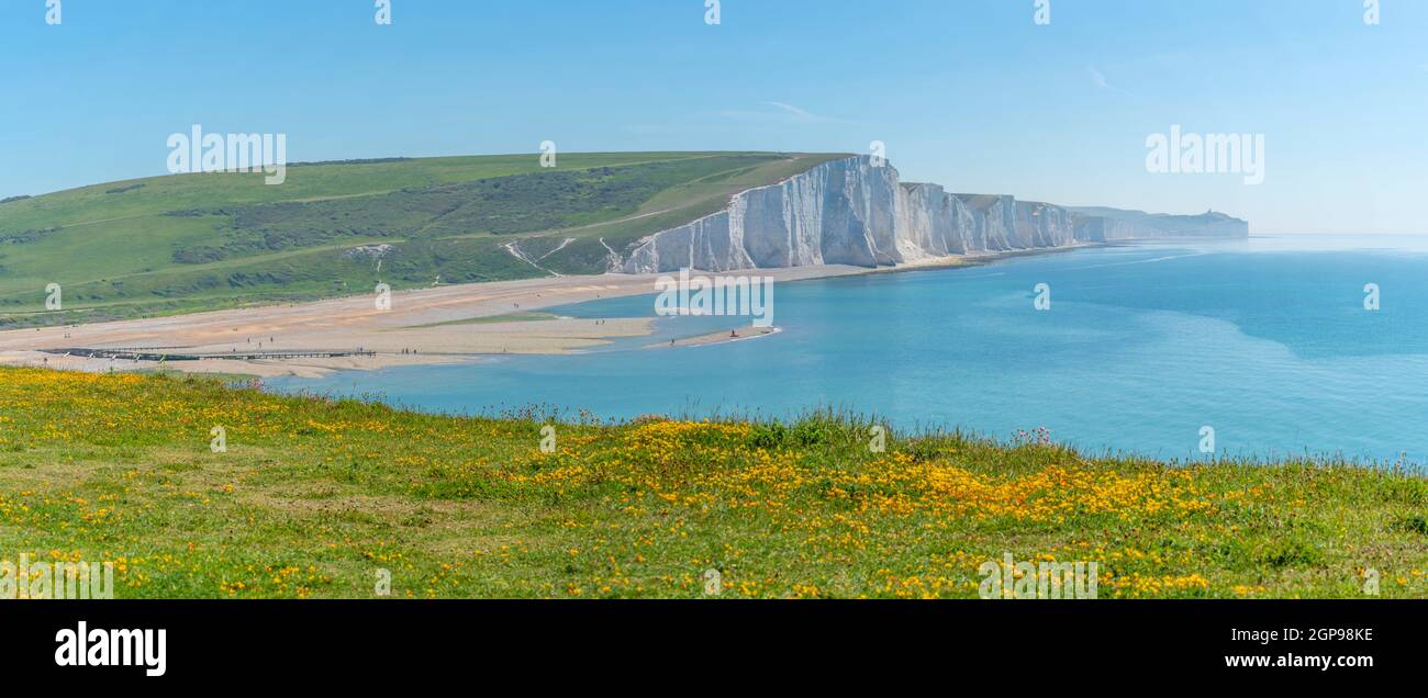 Seven Sisters Chalk Cliffs and summer wild flowers at Cuckmere Haven, South Downs National Park, East Sussex, England, United Kingdom, Europe Stock Photo