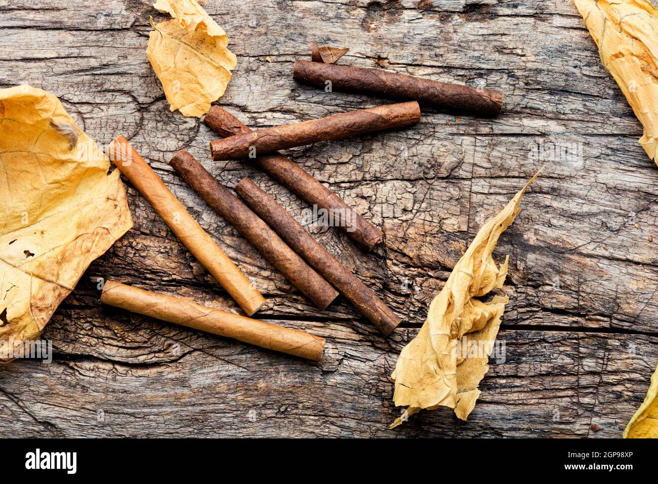 Cigarillos and dry tobacco leaf on wooden background Stock Photo